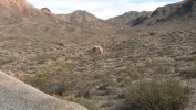 PICTURES/Death Valley - Leadfield Ghost Town/t_P1050857.JPG